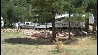 Mountaindale Cabins and RV Resort Video