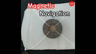 Magnet Trick | Gravity Science Project At Home | #shorts Magnet Toy |