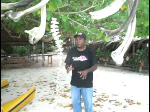 Pyjamas- Say no to violence (Papua New Guinea Music Video)