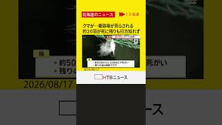 ビニール引き裂かれ　鶏20羽以上が被害　養鶏場にクマの足跡　岩見沢市