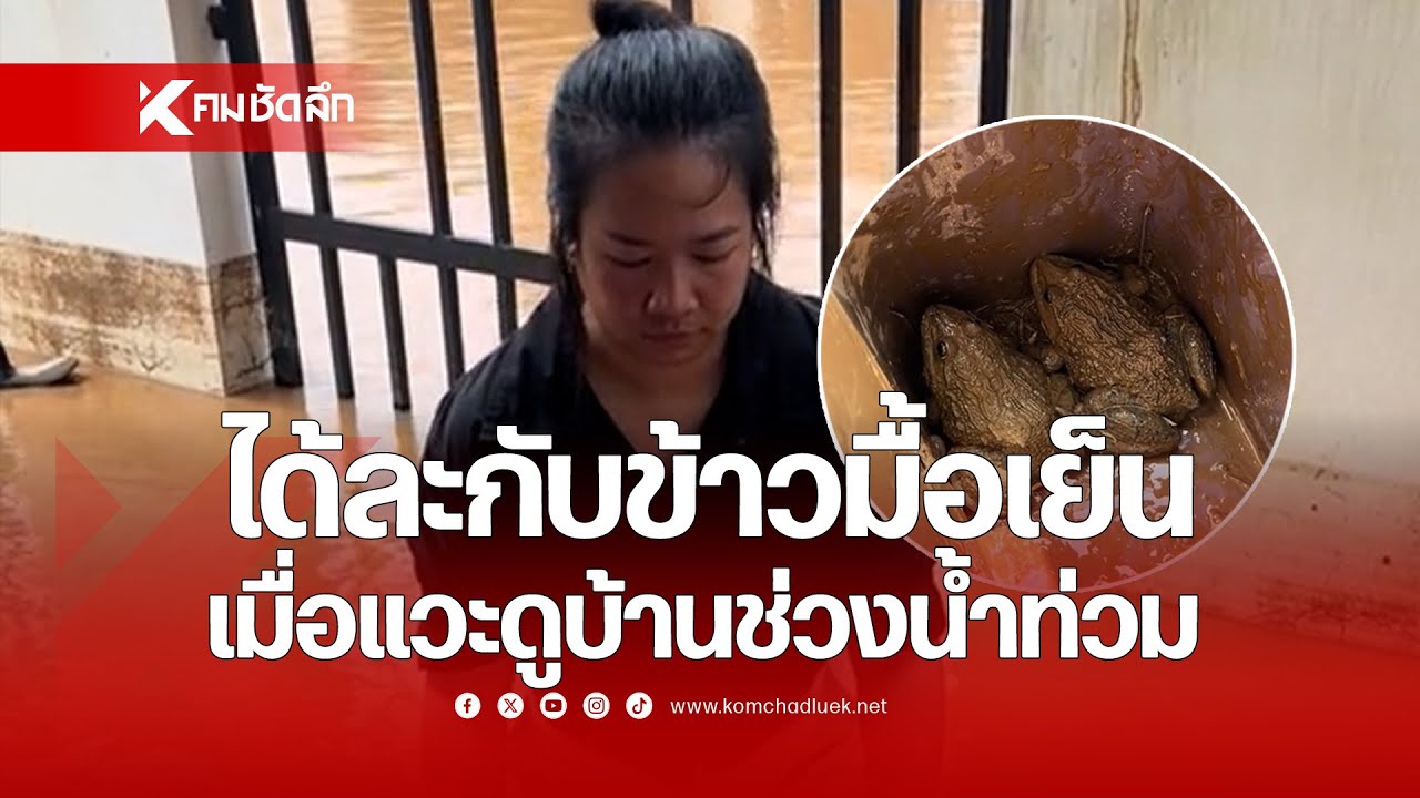 ได้ละกับข้าวมื้อเย็น เมื่อแวะดูบ้านช่วงน้ำท่วม