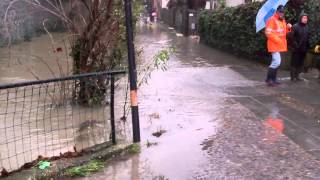 preview picture of video 'Portogruaro - Situazione acqua alta 01/02/2014 Via Camucina ore 15.30'