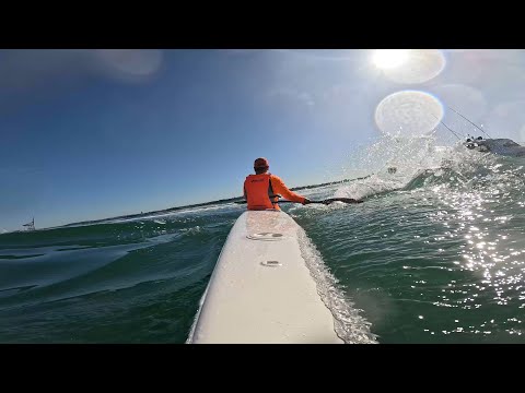 Paddle trip to Devonport - Epic V10L & Fenn Bluefin S surfskis