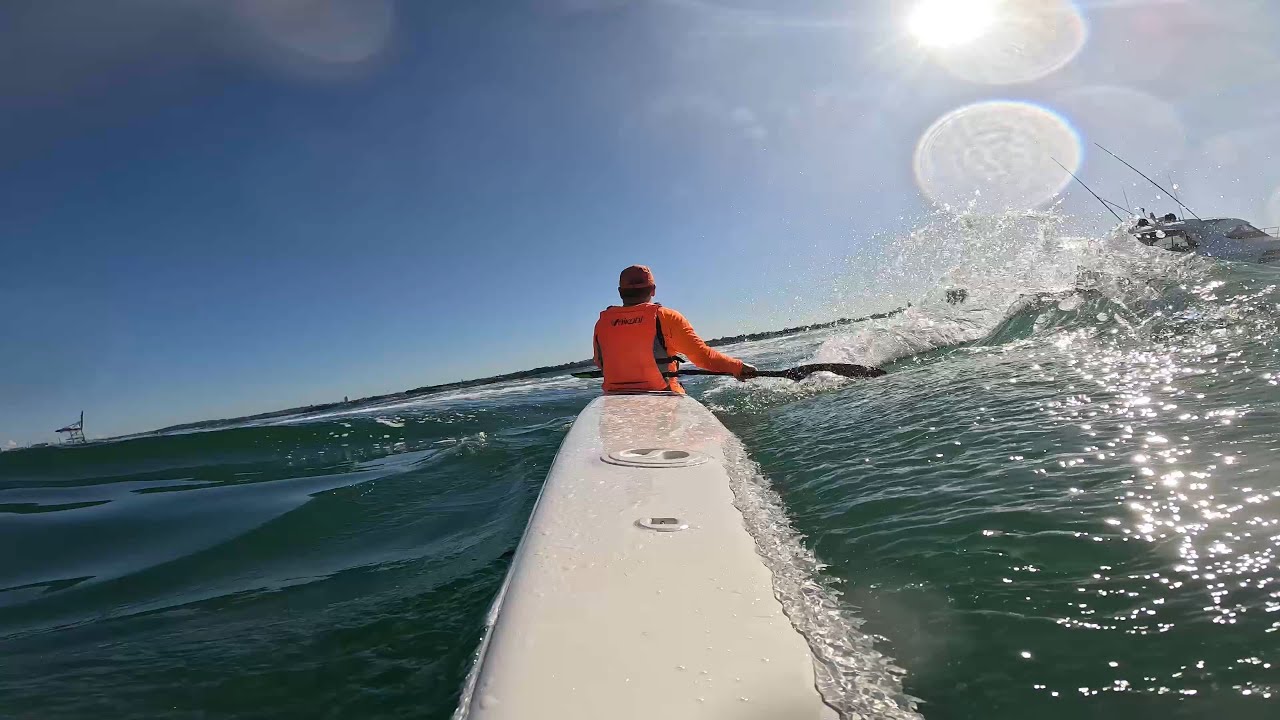 Paddle trip to Devonport - Epic V10L & Fenn Bluefin S surfskis