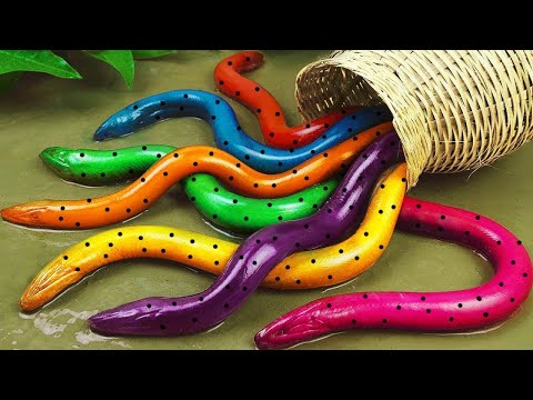 Best Of Small Fish Recipe | MINIATURE Fish Cooking Made EASY with Simple Recipe