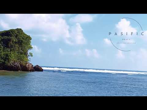 🔴 24/7 Thunderstorm & Koto Radio ⛈️ | Cozy Sleep Ambience