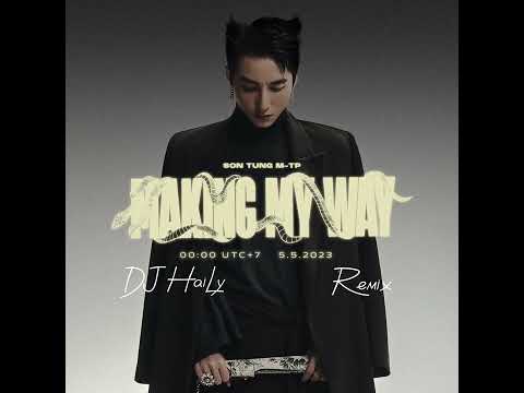 Sơn Tùng M-TP - Making My Way || DJ HAILY REMIX