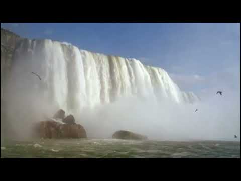 Jordan’s Sound Effects Compilation No.134:SEAGULLS - LARGE FLOCK OF SEAGULLS CALLING, AMBIENCE1