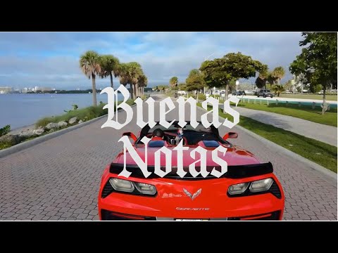 Buenas Notas - L Brito (Anime Visualizer)
