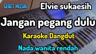 Download lagu Karaoke dangdut 《 jangan pegang dulu 》lirik berjalan nada cewe mp3