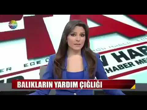 Killa hakan:gülük gülük parodi