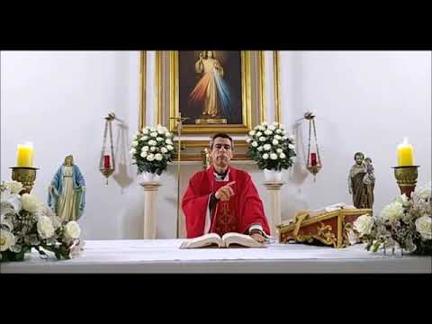 Homilía 24/11/21 - San Andrés Dung-Lac - Lucas 21, 12-19 - Señales precursoras.