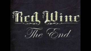 The mirror in your eyes - RAGE cover x Red Wine