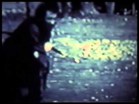 Court Circuit Johanna Vaude