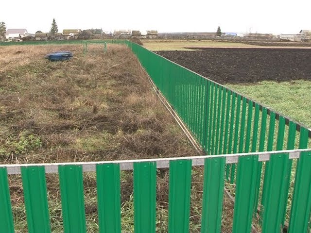 19 ноября – Единый день референдума