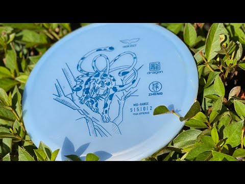 Zheng Review from Yikun Discs