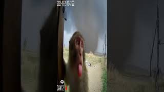 Download lagu Bla bla bla #shorts #ai mp3