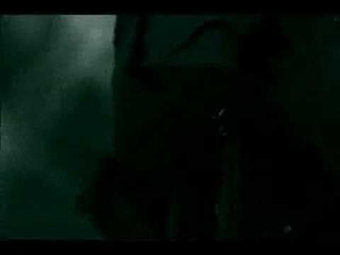 Best Final Fantasy madonna frozen and linkin park numb  brace ever