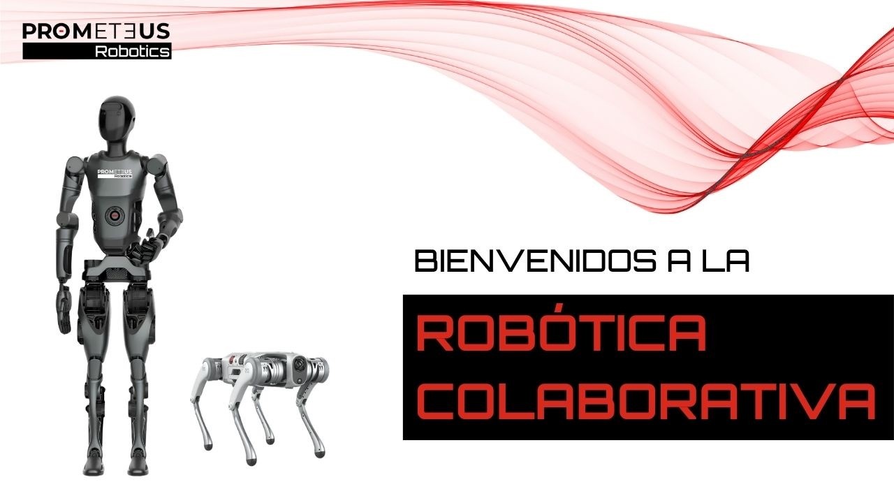 Compañeros ideales para servicios de reparto, recogida, tareas de limpieza y en marketing.