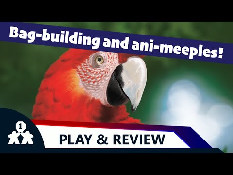 Bag-building and ani-meeples | Life of the Amazonia solo play and review | One Stop Co-Op Shop