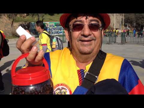 Un menú exótico para la previa de Argentina-Colombia: hormigas culonas