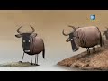 Funny Whatsapp Status Funny Animation Story Funny Animals Video Comedy Video Kc Whatsapp