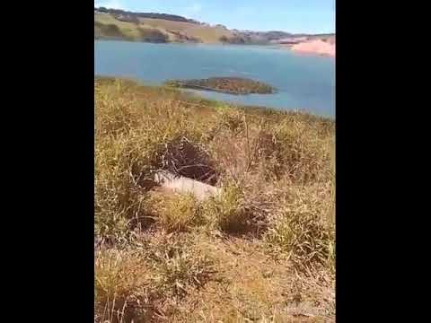 Repreza Nórida Lagoa Formosa MG