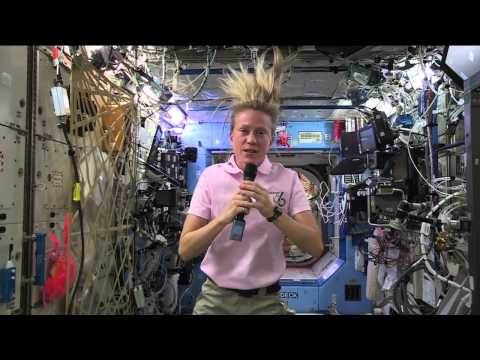 ISS Expedition 36 In Flight Interview   July 3