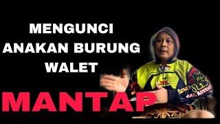 Download lagu MENGUNCI ANAK BURUNG WALET MANTAP mp3