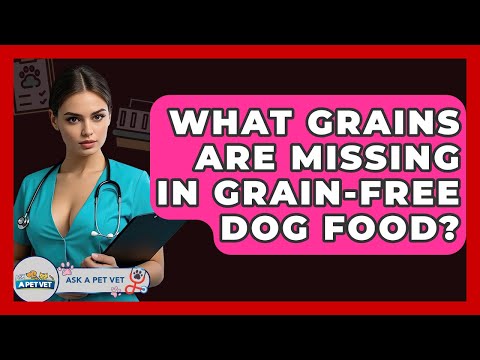 What Grains Are Missing In Grain-free Dog Food? - Ask A Pet Vet