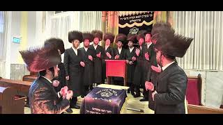 לראות בנים - ווקאלי | מקהלת נגינה
