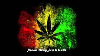 Damian Marley-Born to be wild.mp4