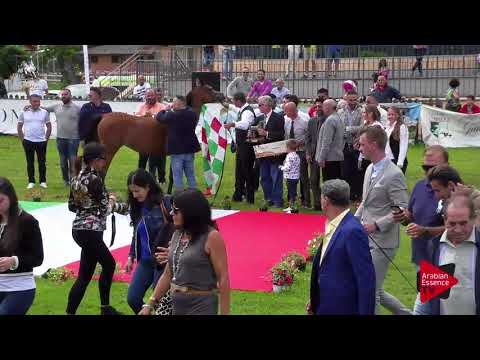 1 st place N.30 MAGIC SOUBRETTE - 2017 Italian Nationals - Junior Fillies Championship (Class 17)