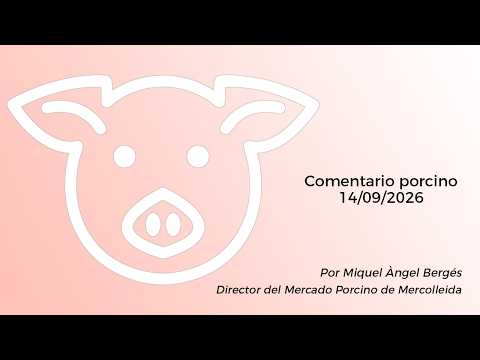 Comentario porcino - 14/09/2026
