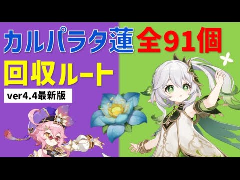 屋外の庭、裏庭、パティオの装飾: デザインのアイデアと珍しい写真  庭園