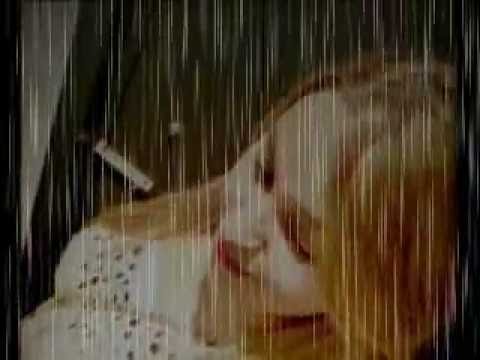 ♫ ♪  Miss ELif  fT  CiqqS TKiyy  [  KahBe Kader  ]   -  2oı2  ♫ ♪