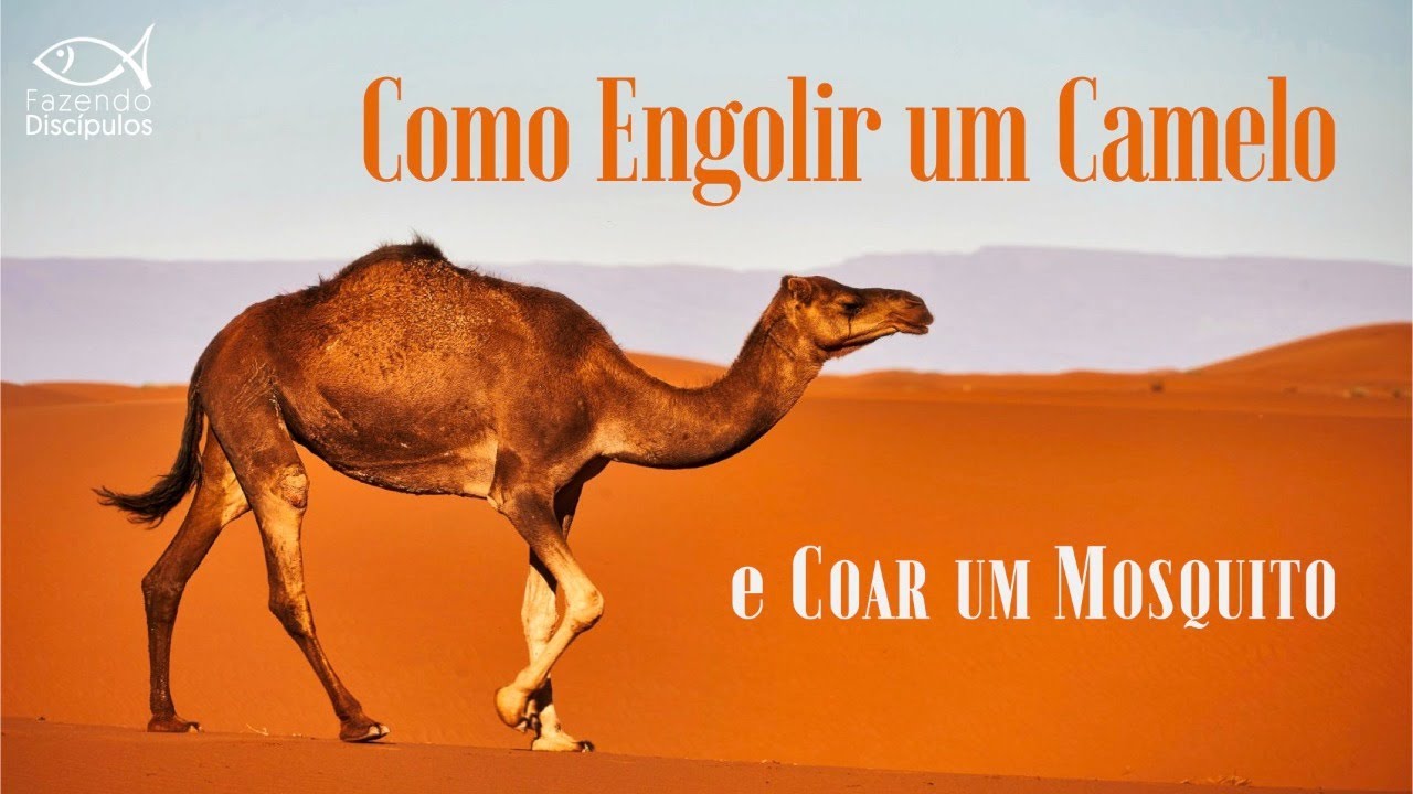 Como Engolir Um Camelo e Coar Um Mosquito