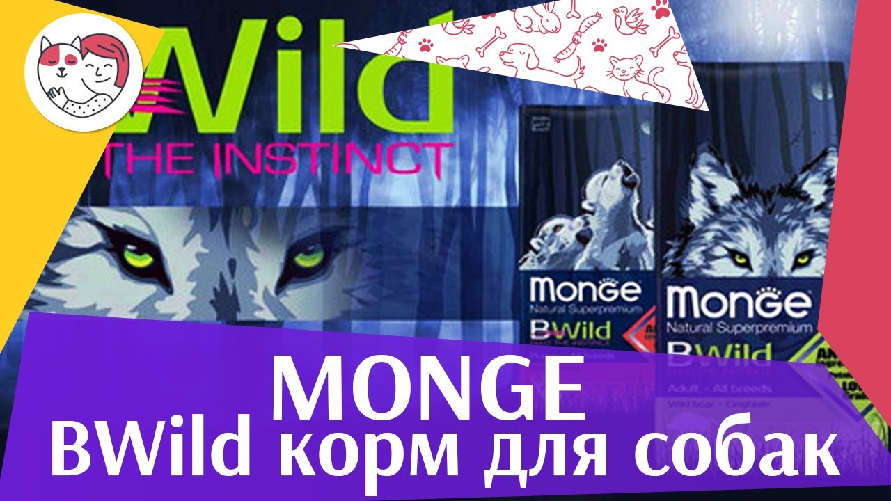Monge BWILD для собак на ilikepet