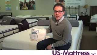 Mayfield Sheets 300 Thread Count Sheet Set