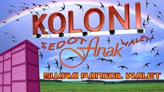 Download lagu DAHSYAT..10 MENIT LANGSUNG SEDOT ANAKAN KOLONI WALET (Suara Panggil Walet) mp3 Download lagu DAHSYAT..10 MENIT LANGSUNG SEDOT ANAKAN KOLONI WALET (Suara Panggil Walet) mp3