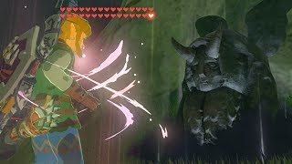 How to Duplicate Hearts and Stamina - Zelda BOTW