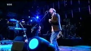 The Divine Comedy - Queen of the South/Maneater (Haldern Pop Festival 2006)