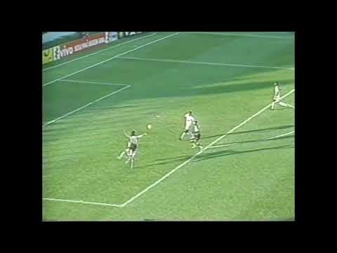 Botafogo 2 x 0 Paysandu - Campeonato Brasileiro 2005