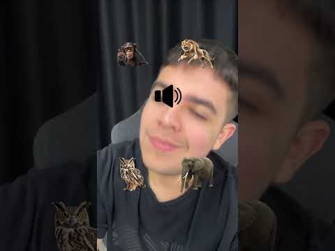 Recognize the animals