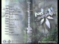 Jungle Book 2 Freaky Flow Chapter 2 Chicago DnB Mixtape