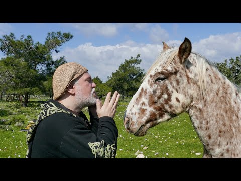 Alizbar & Horses and music Cyprus Happy Horse /Проект Лошади и  музыка  Варган /Кипр/Юлия Худякова