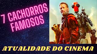 7 Cachorros FAMOSOS da atualidade no cinema