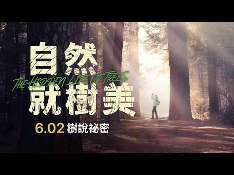 6/02《自然就樹美》正式預告🌲｜蟬聯德國40週排行榜冠軍暢銷書改編
