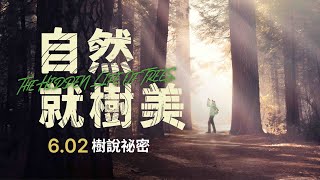 Re: [問卦] 中醫說的「體內濕氣」到底是啥？