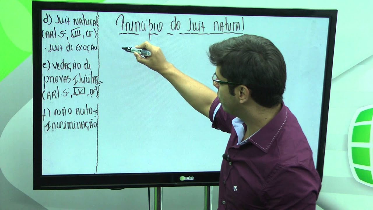 Princípios do Processo Penal - 2